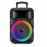 KTS-2231 12 Inch Trolley Bluetooth Speaker Wireless Microphone RGB Light USB TF FM Radio Karaoke Portable Speaker