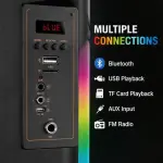 KTS-1762 8 Inch Flame Light Bluetooth Speaker with Wireless Mic | RGB LED | USB/TF/AUX/FM | Rechargeable Karaoke Speaker