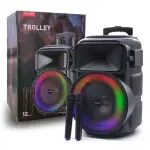 KTS-2231 12 Inch Trolley Bluetooth Speaker Wireless Microphone RGB Light USB TF FM Radio Karaoke Portable Speaker