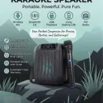 GTS-2461 + 6.5 Inch + Bluetooth Karaoke Speaker + Wireless Mic & Portable Design + Best Price in Pakistan