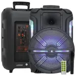 KTS-1200S 12 Inch Portable Bluetooth Karaoke Speaker with TWS, USB, TF, FM Radio, AUX & RGB LED Lights