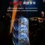 KTS-2190 6.5 Inch Portable Bluetooth Speaker with Wireless Microphone | FM Radio | USB/TF Card Support