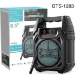 Ramzan Deal #6: GreatNice GTS-1283 6.5" Portable Wireless Speaker + Yoga DM-193 Headset Microphone Combo