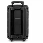 KTS-2465 Portable Bluetooth Karaoke Speaker Dual 8 Inch RGB Flash Light USB TF FM Radio Wireless Microphone 2400mAh Battery